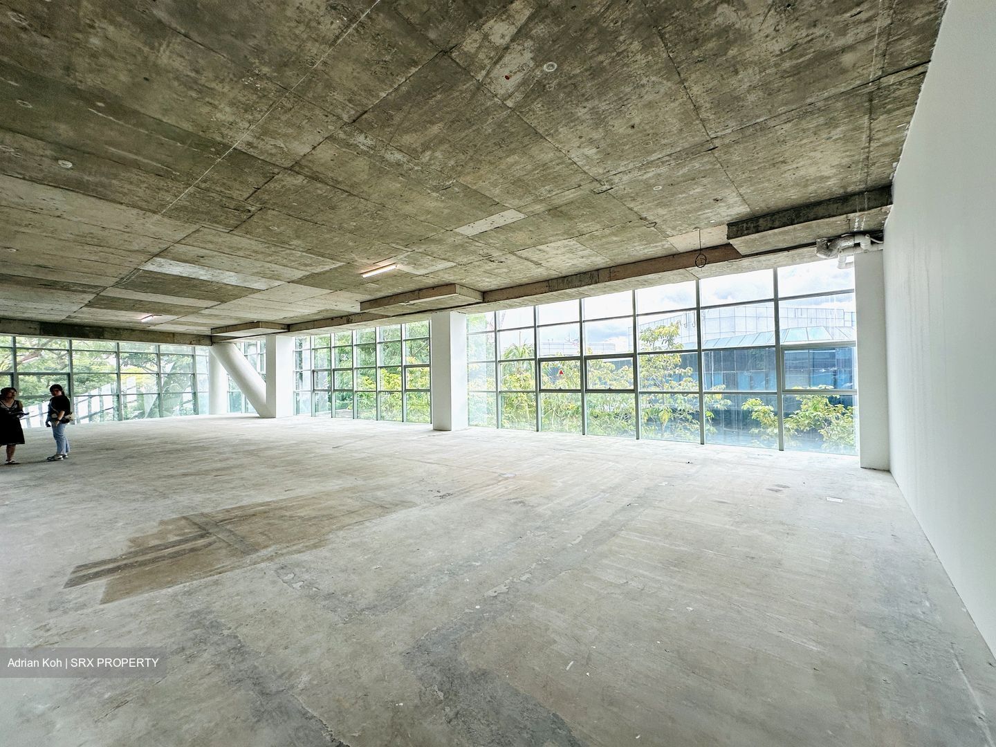 The Pasteur (D5), Office #540277101